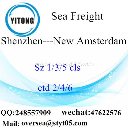 Shenzhen Port LCL Consolidation To New Amsterdam